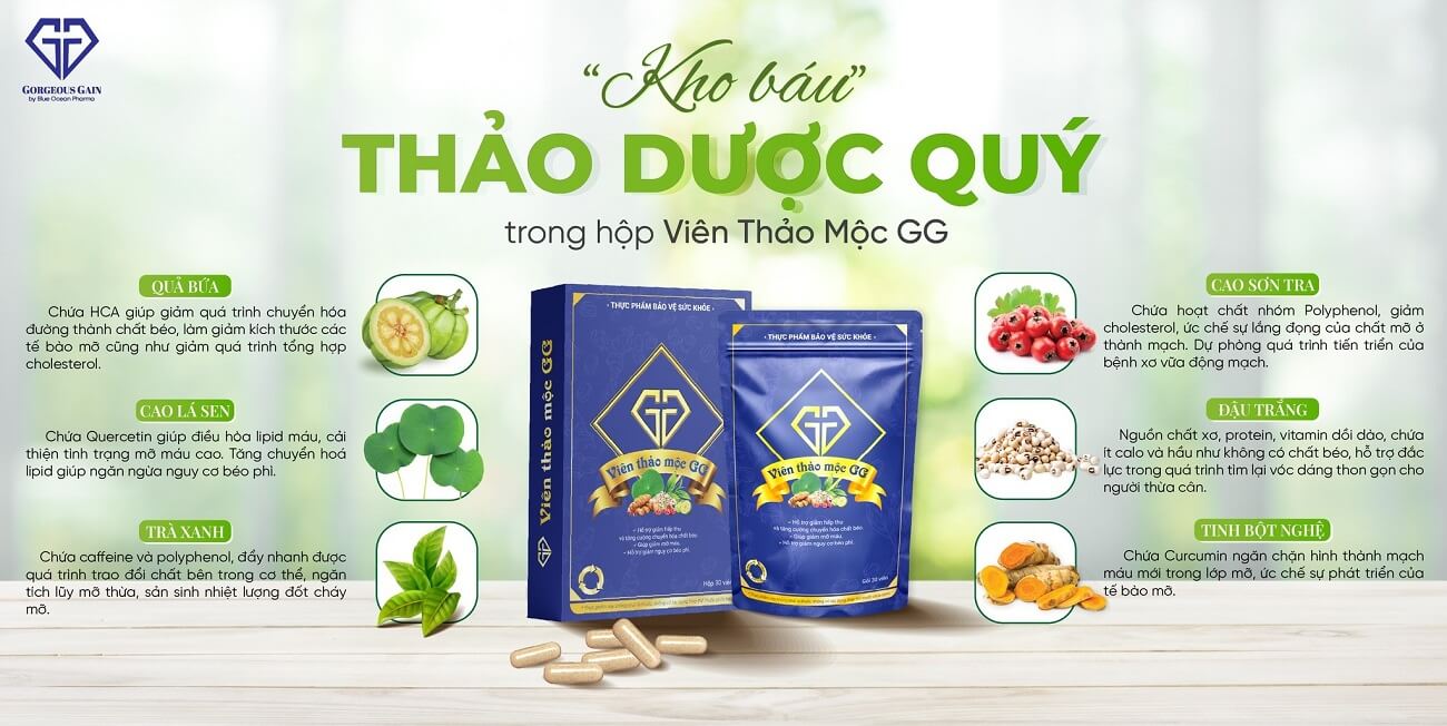 Thành phần chính của Viên Thảo Mộc Giảm Cân GG