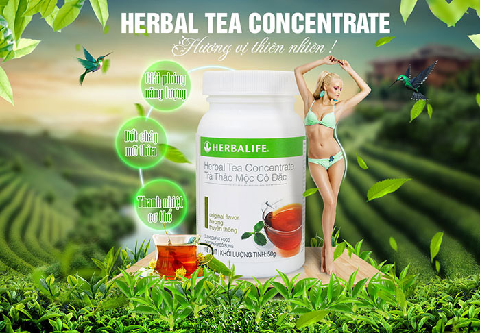Herbal-Tea-Concentrate