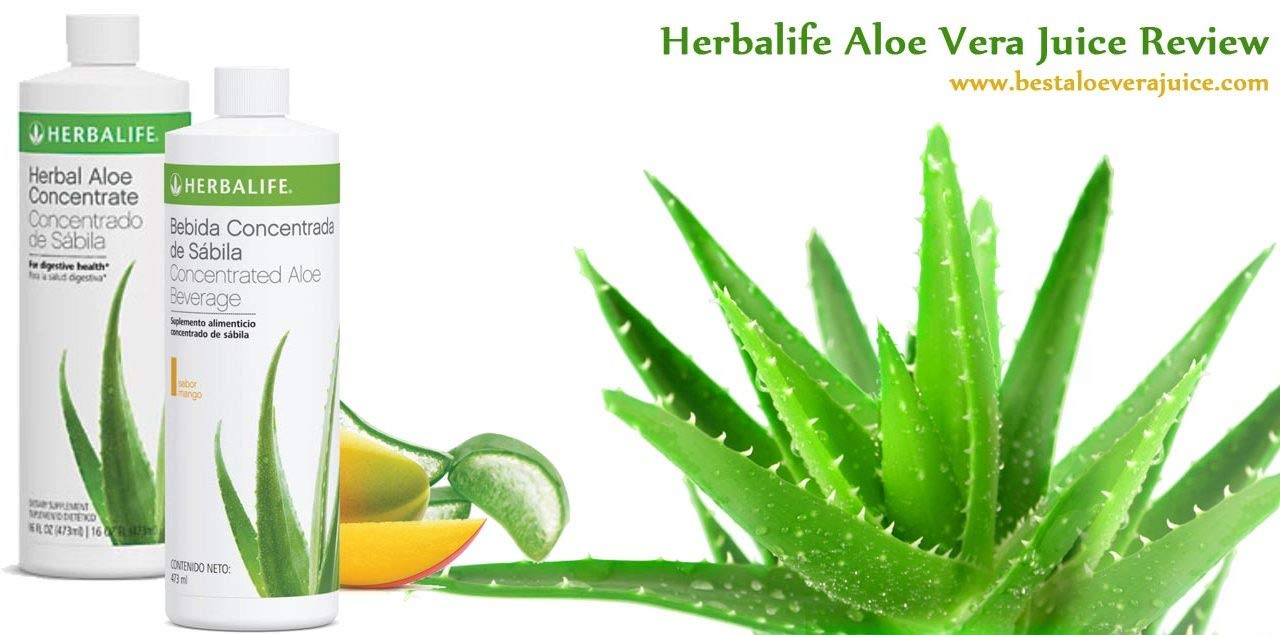 Herbal Aloe Concentrate là gì?