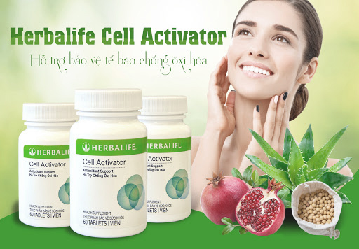 Thành phần chính của Herbalife Cell Activator