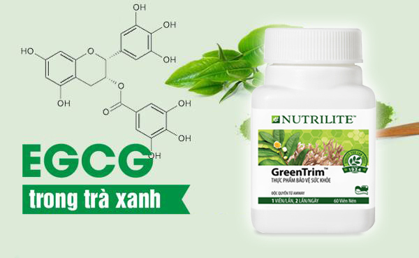 Thành phần chính của Thực phẩm Bảo vệ sức khỏe Nutrilite Green Trim