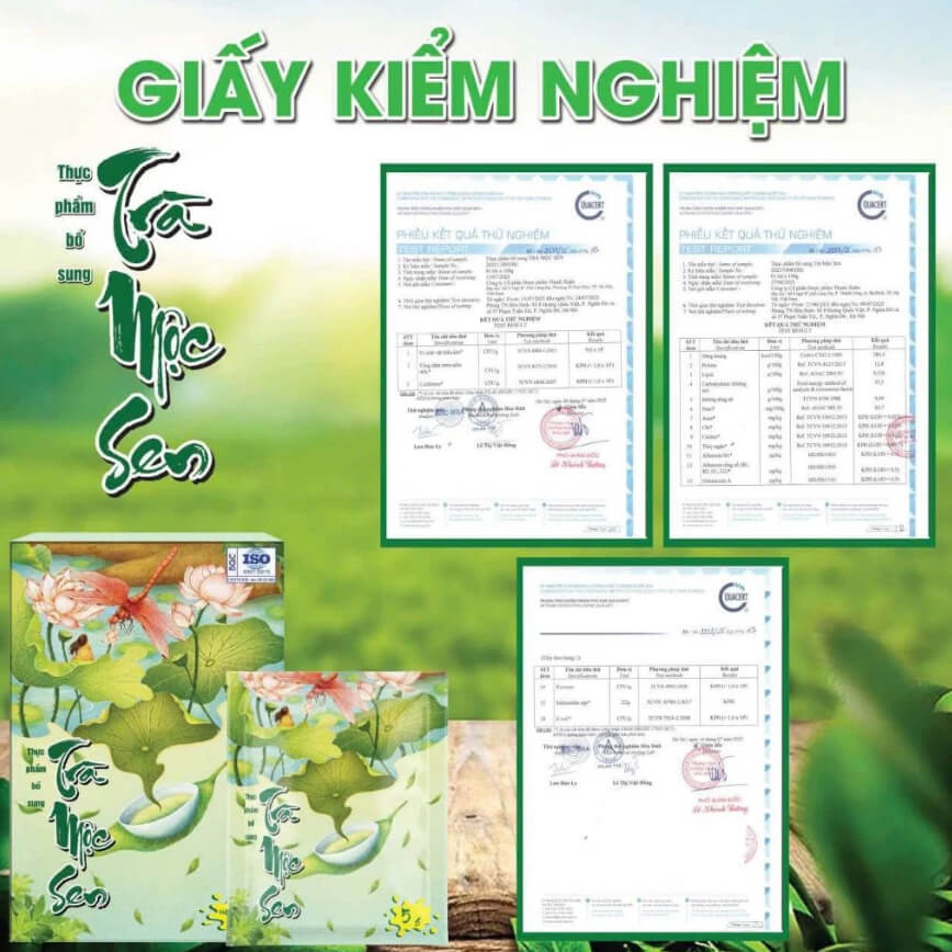 Trà Mộc Sen có tốt không?